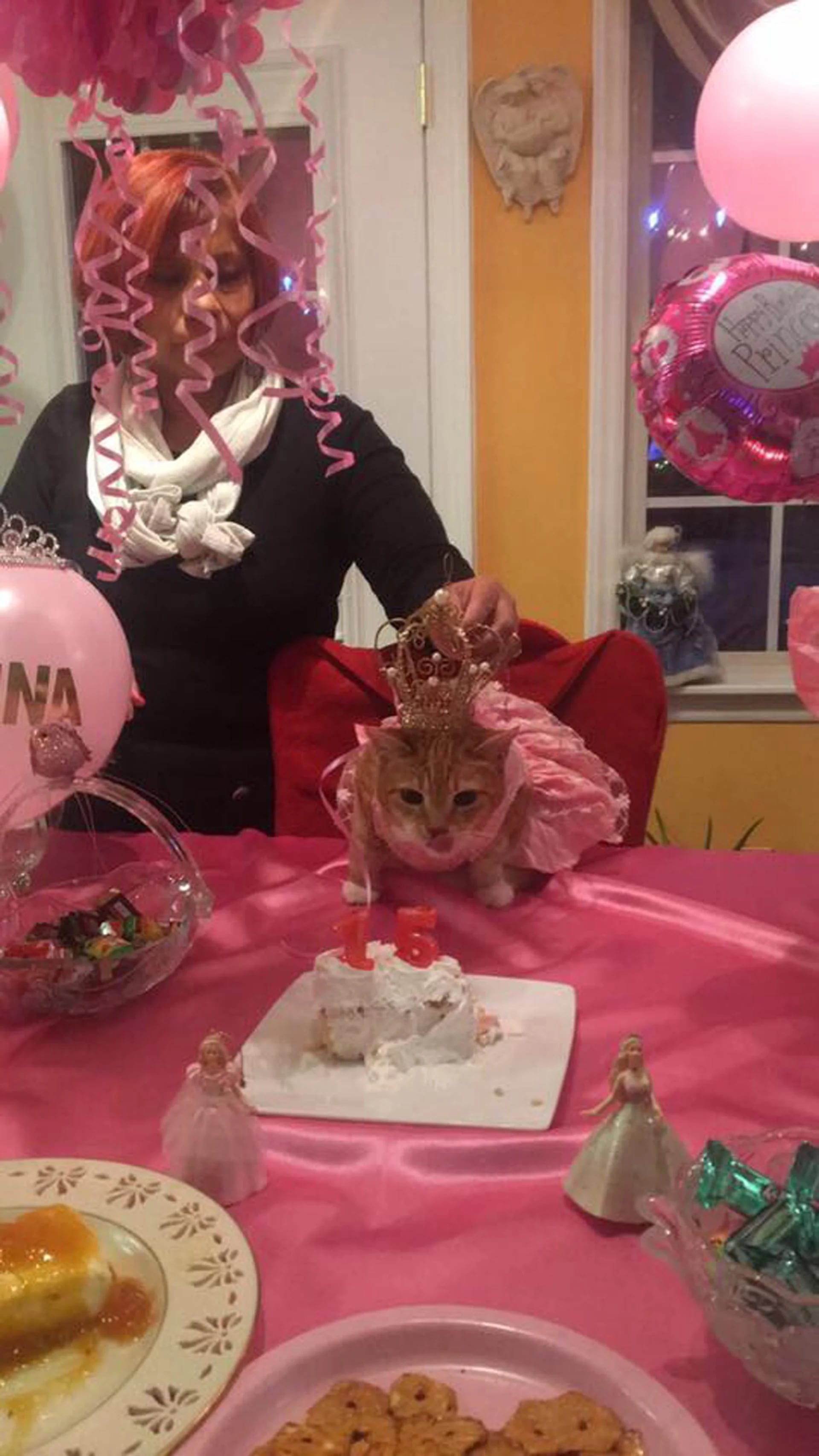 El festejo llevó un año de planeamiento con el fin de que todo salga como se esperaba (Facebook Quinceañera Cat)