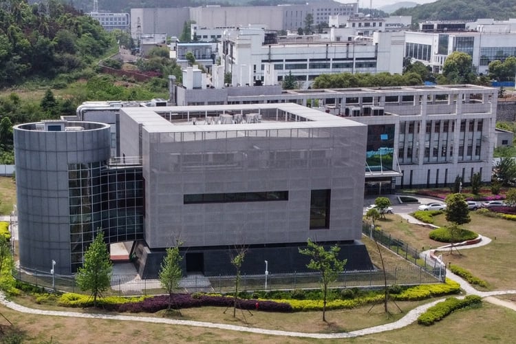 El Centro de Cultivo de Virus del Instituto de Virología de Wuhan está el centro de las sospechas (Hector RETAMAL / AFP)