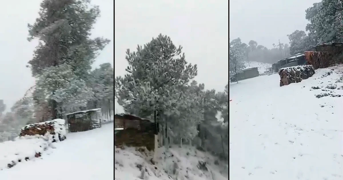 “This is not Canada”: the snow surprises the inhabitants of these CDMX municipalities |  VIDEO