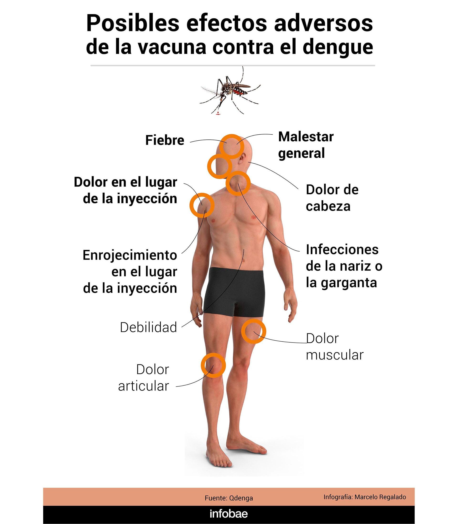 Vacuna del dengue en Argentina INFOGRAFIA