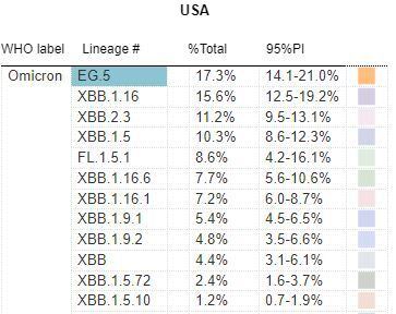 En la última semana EG.5.1 se convirtió en la subvariante dominante en Estados Unidos, destronando a las subvariantes XBB (CDC)