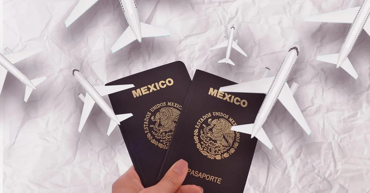 Mexican passport: which people can process it with a 50% discount