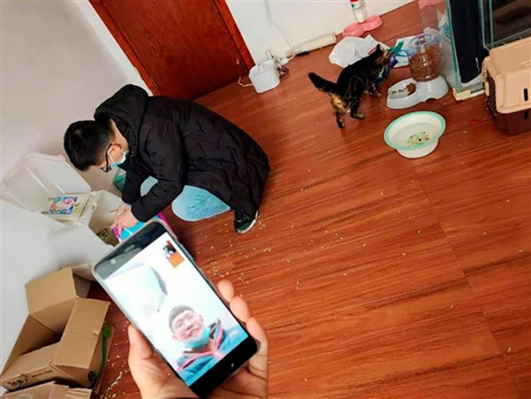 Los voluntarios irrumpen en los hogares para alimentar a las mascotas y envían fotos a sus dueños, bloqueados fuera de la ciudad 
