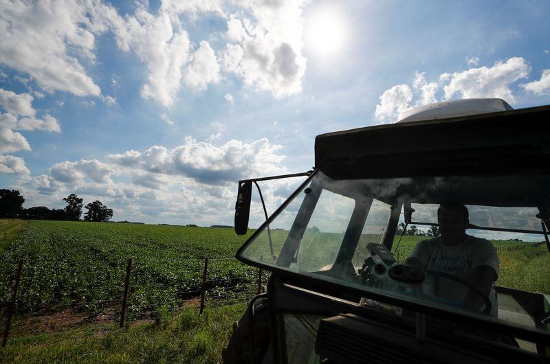 La ley sólo permite que se venda el 15% de las tierras rurales a los extranjeros (Reuters)