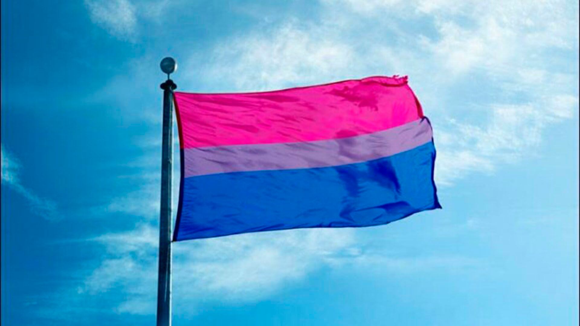 bandera de la bisexualidad (Foto: Twitter@calicocatxbts)