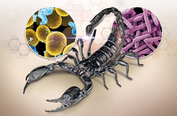 Los expertos del Instituto de Biotecnología (IBt) aislaron, produjeron y patentaron dos compuestos que combaten la enfermedad y el crecimiento de células cancerígenas (Foto: UNAM)