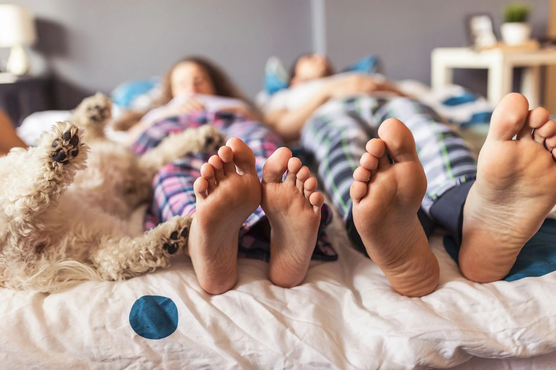 Las mascotas que duermen tanto en la cama como en el mismo cuarto afectan de manera positiva al sueño y descanso de sus dueños. (Getty)