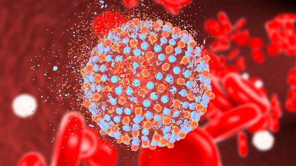La hepatitis C tiene que reforzar sus mensajes de concientización sobre la detección temprana. Un estudio científico demostró eficacia a través de un medicamento genérico -con la droga sofosbuvir-. Esto permitirá enfocar un tratamiento más eficaz y accesible en fases tempranas de la enfermedad (Getty Images)