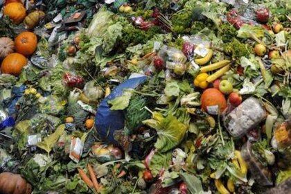 Disminuir el desperdicio de alimentos reduciría las emisiones de gases de efecto invernadero (Foto: Twitter@ecointeligencia)