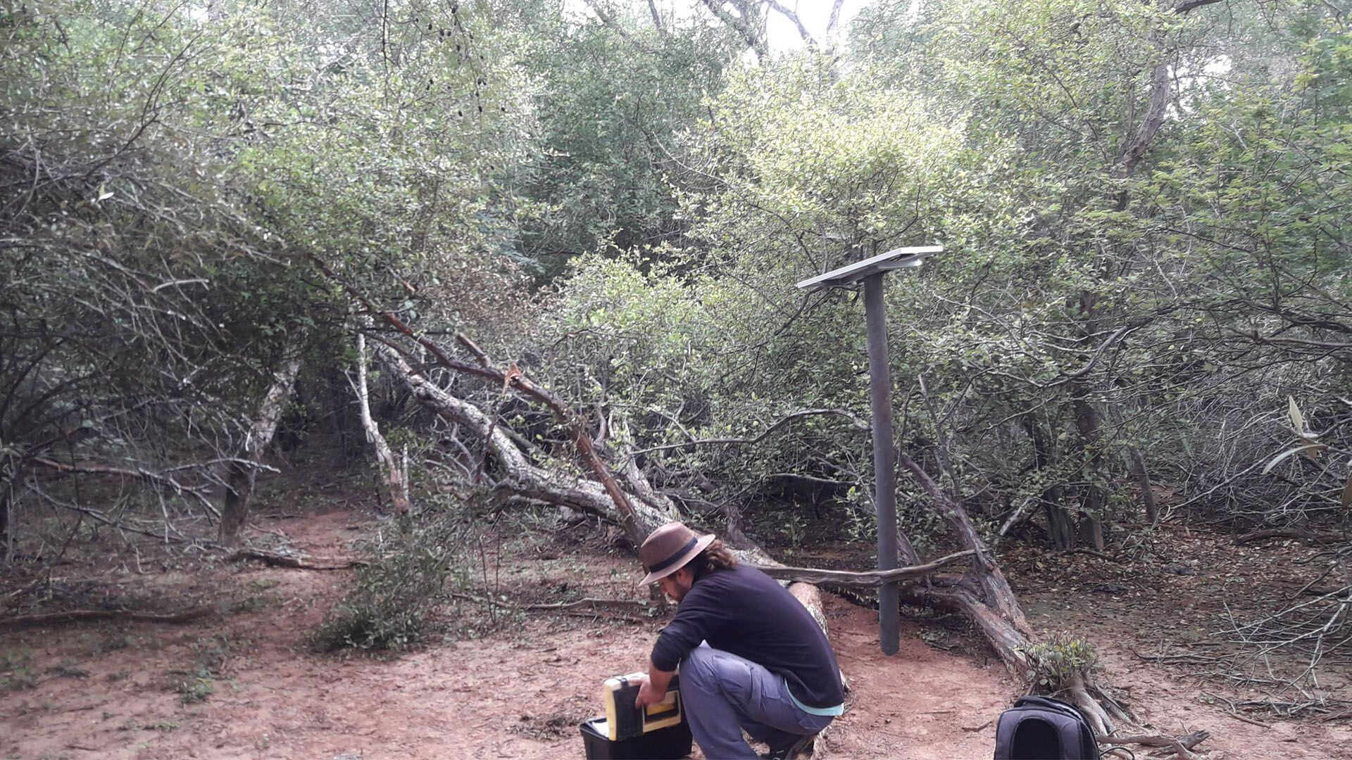 Los investigadores creen que en el futuro se podrá trazar movimientos migratorios a través de un mayor trazado de dispositivos (UCASAL)