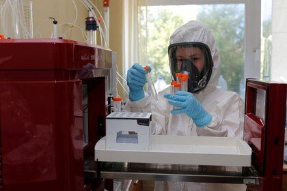 Cientos de científicos de todo el mundo buscan crear la primera vacuna contra el coronavirus (Foto: Fondo Ruso de Inversión Directa (RDIF) / Folleto a través de REUTERS)