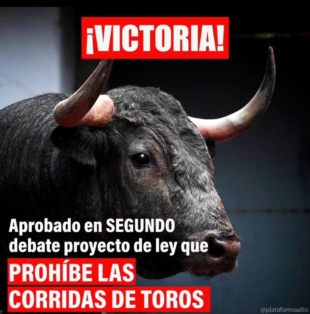Con este mensaje en la red social X (Twitter), la plataforma ALTO celebró la aprobación en segundo debate de la prohibición de las corridas de toros en Colombia - crédito @PlataformaALTO/X
