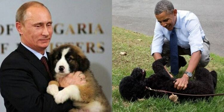 Ni Putin ni Obama pudieron evitar su interés por los perros de diseño (Foto: Especial)