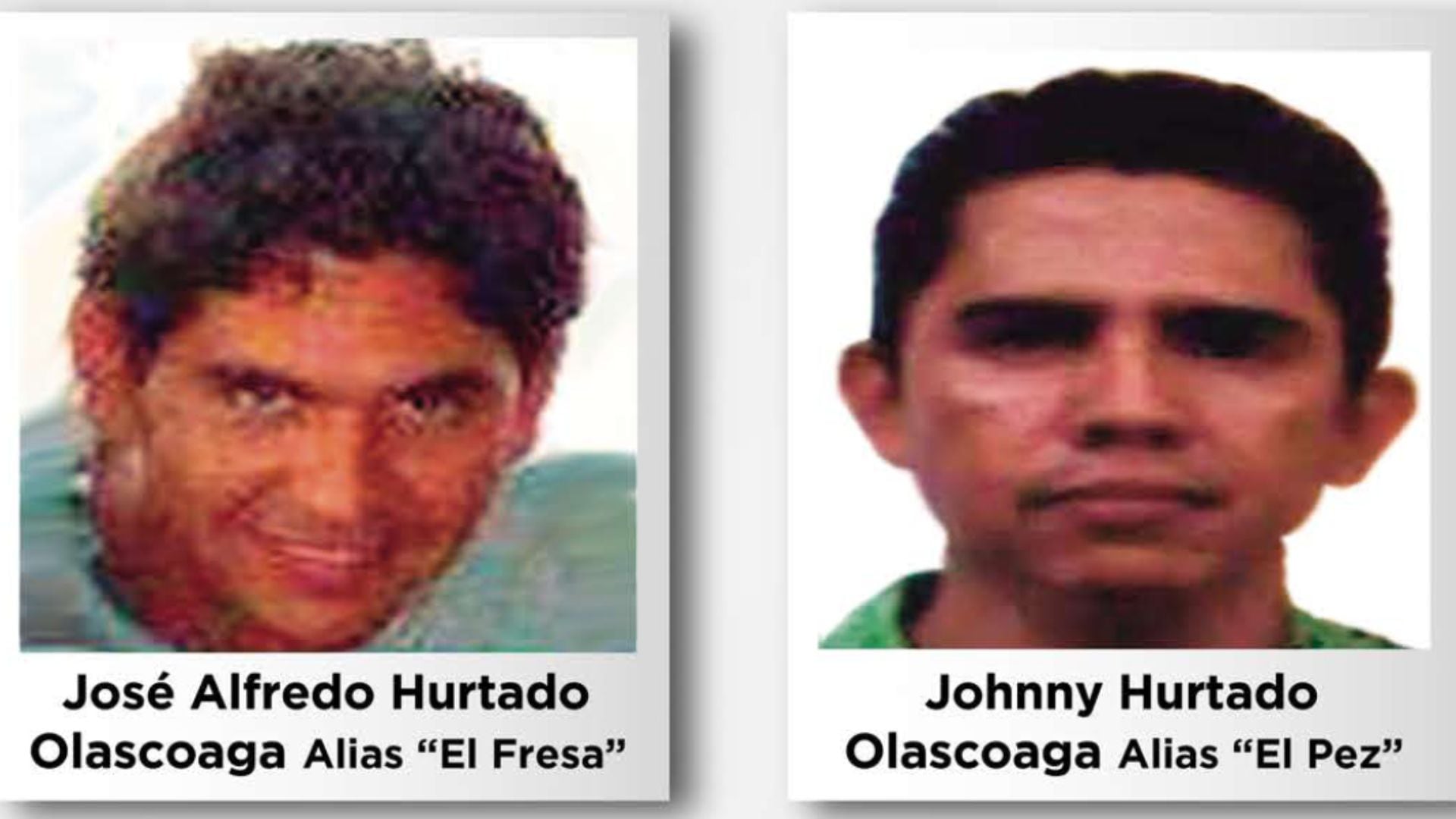 Sedena conocía la ubicación de 'El Pez', líder de la Familia Michoacana, pero no lo capturó - Infobae