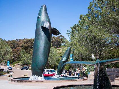 Acuario Birch en Scripps es una de las grandes atracciones del lugar (Shutterstock.com)