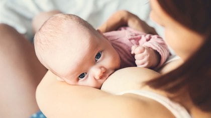 La leche materna ofrece protección contra la aparición de enfermedades de la niñez (Shutterstock)
