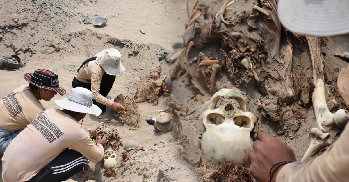 Archaeologists from San Marcos discover a funeral ritual with human remains from the Chancay culture