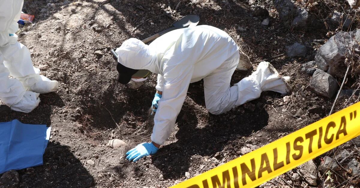 They found at least 60 packages containing human remains in the Edomex