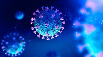 Virus SARS-CoV-2. Las vacunas todavía están en estudios. Pueden aminorar los síntomas, pero aún poco se conoce sobre el evitable contagio