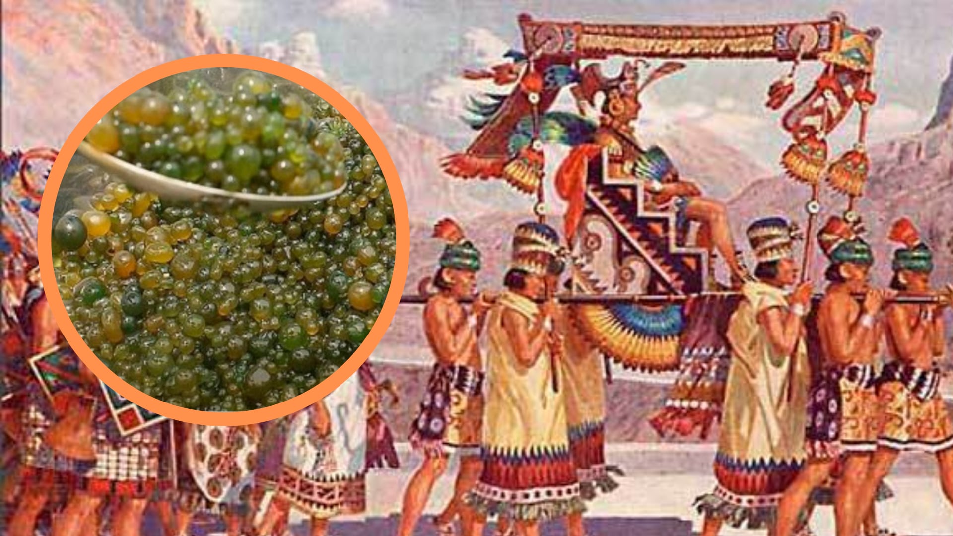 El cushuro, también llamado "caviar andino", es una cianobacteria que ha sido consumida desde tiempos precolombinos en Perú, Ecuador, Bolivia y el norte de Chile. (composición: Infobae)