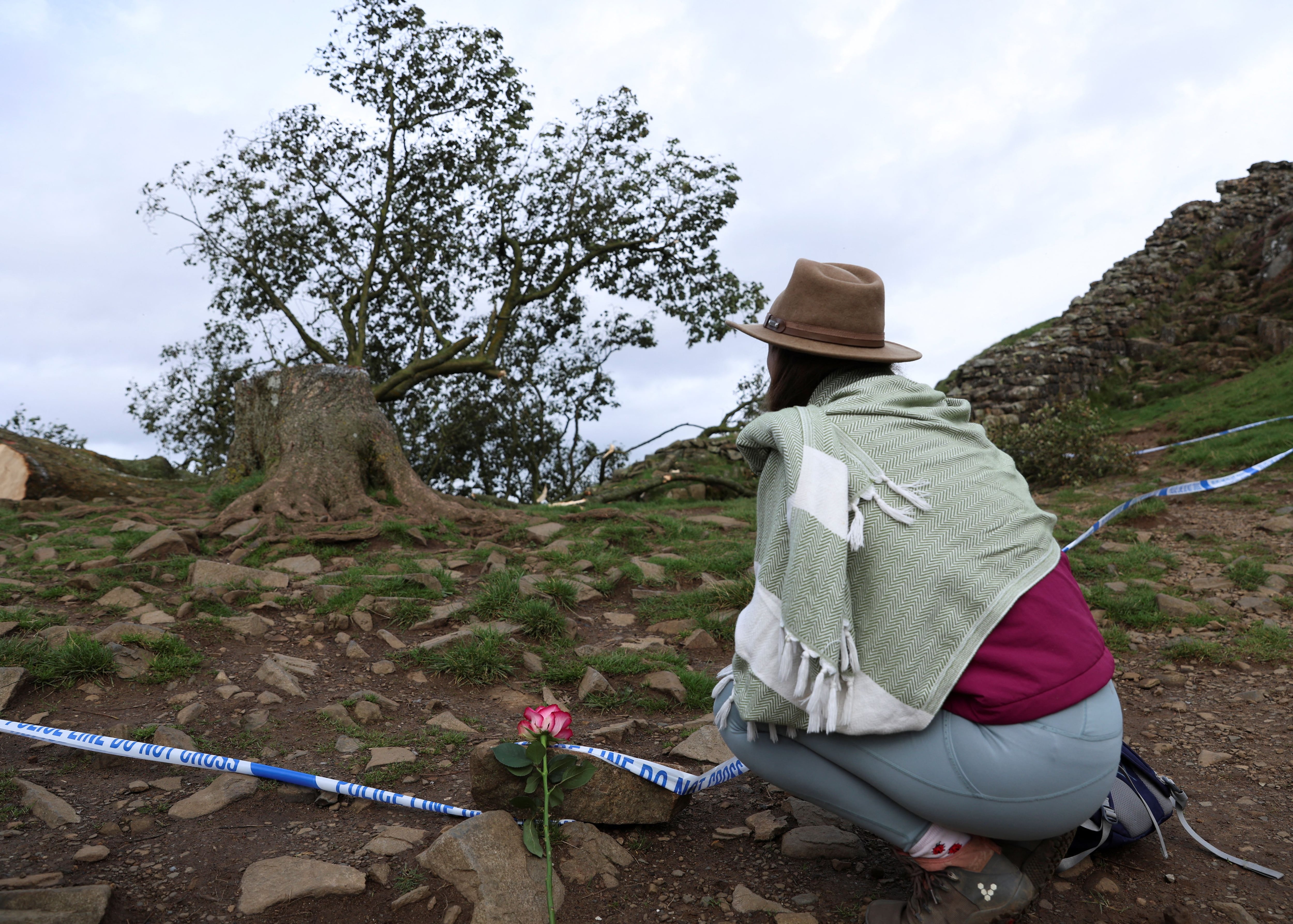 Pese al pedido de las autoridades, algunas personas se acercaron a ver el emblemático árbol caído (REUTERS/Lee Smith)