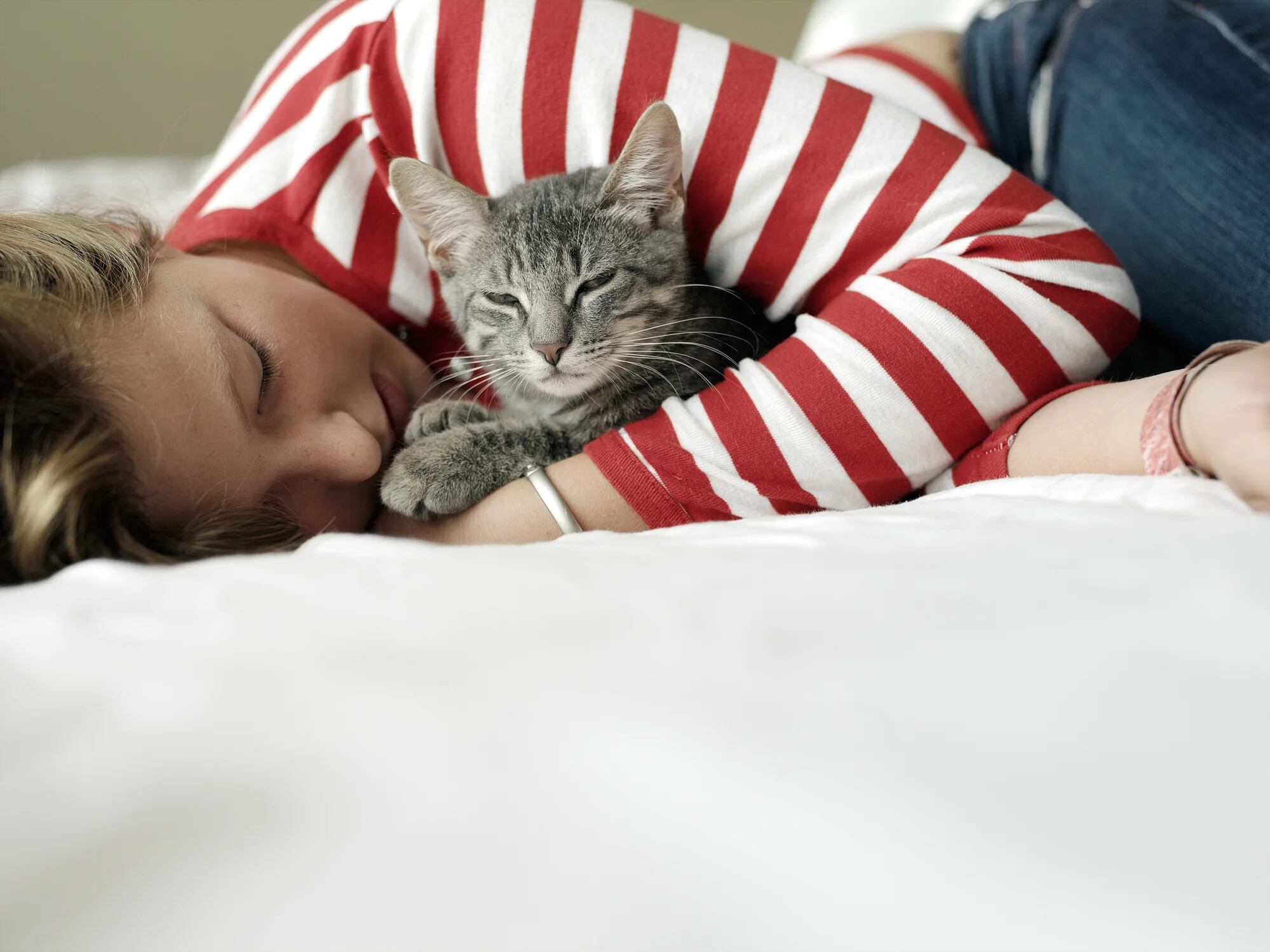 Cómo los gatos pueden ayudar a superar problemas emocionales 