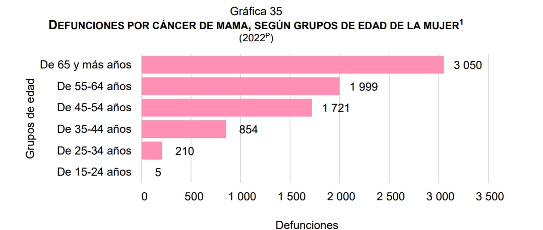 En 2022 murieron siete mil 840 mujeres a causa del cáncer de mama. Foto: Inegi