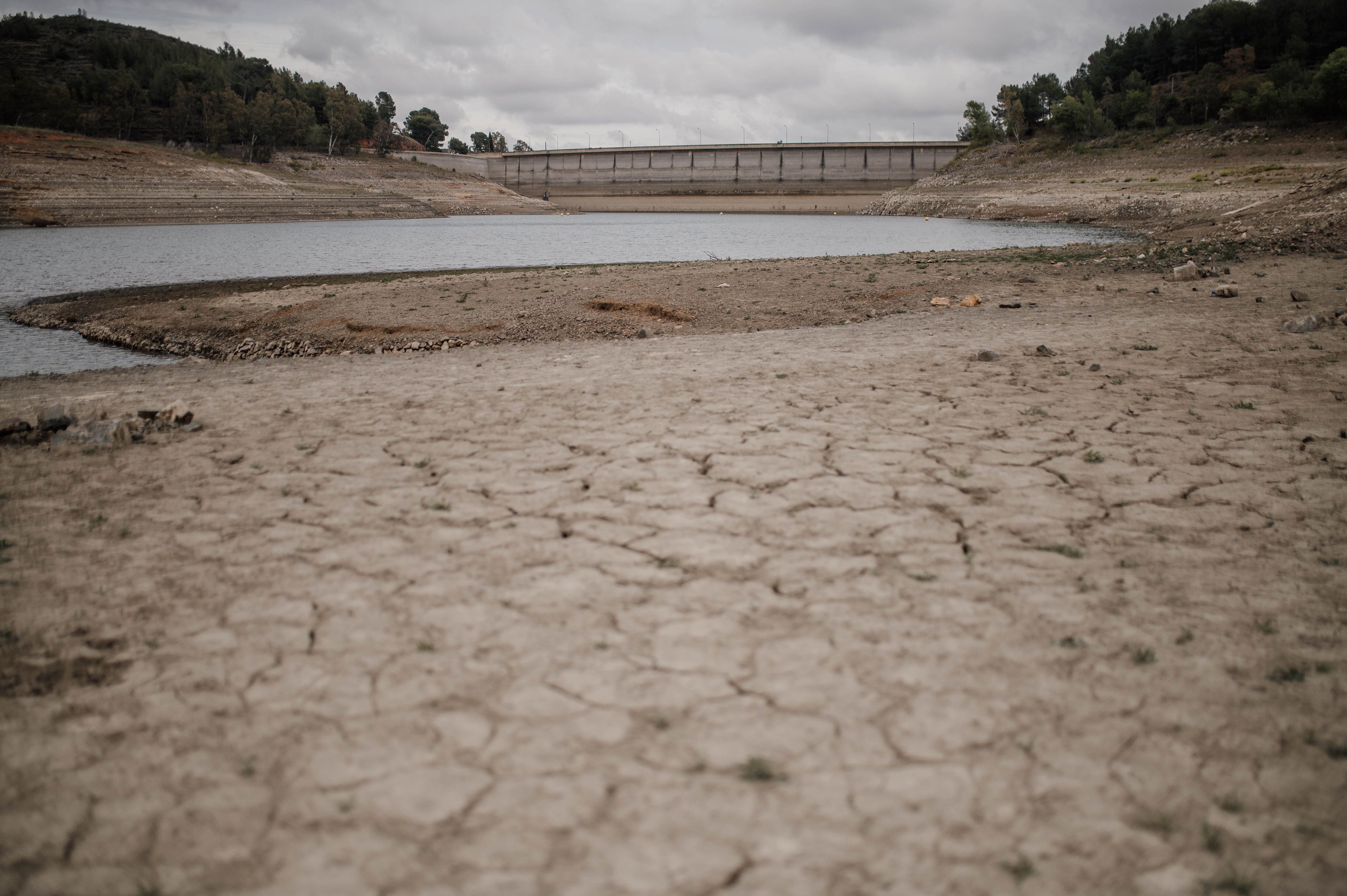 El mundo sufre sequías por el avance del cambio climático (Laia Solanellas - Europa Press)
