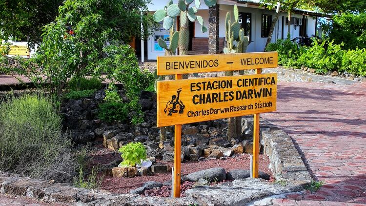 La Fundación Charles Darwin busca reconstruir un ecosistema que fue dañado por el hombre y velar por las especies únicas que existen en la isla