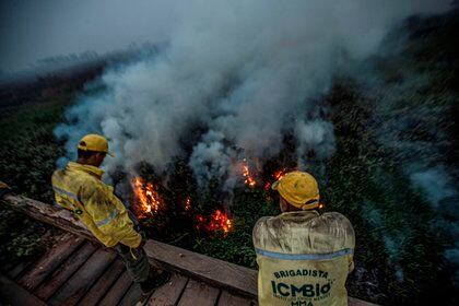 Bomberos observan el fuego en la localidad de Porto Jofre, localizado en el municipio de Pocon&#233;, estado de Mato Grosso (Brasil). EFE/Carlos Ezequiel Vannoni
