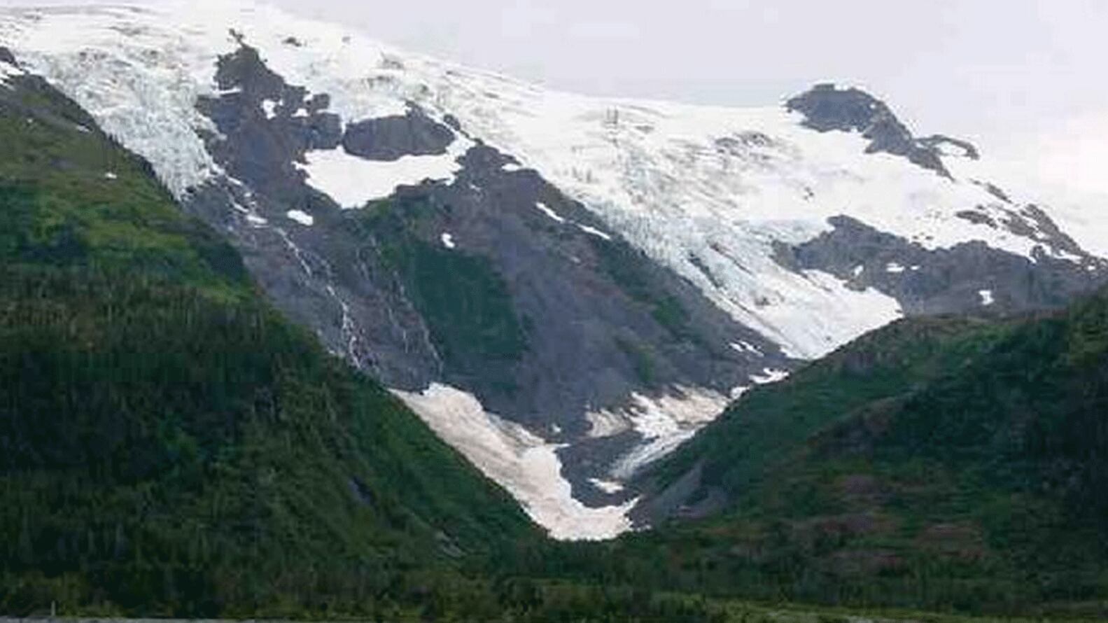 <p>Después de 95 años, el Glaciar Tobogán está todavía en adelgazamiento y retirada.&nbsp;Su término, una lengüeta delgada de hielo, puede verse rodeada por una masa de escombros. La antigua zona de roca estéril está ahora cubierta por vegetación</p><p></ Bruce F. Molnia / USGS 163