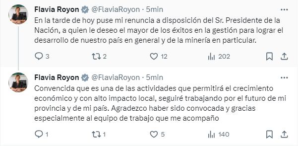 Flavia Royón renunció a la secretaría de Minería (Captura X)