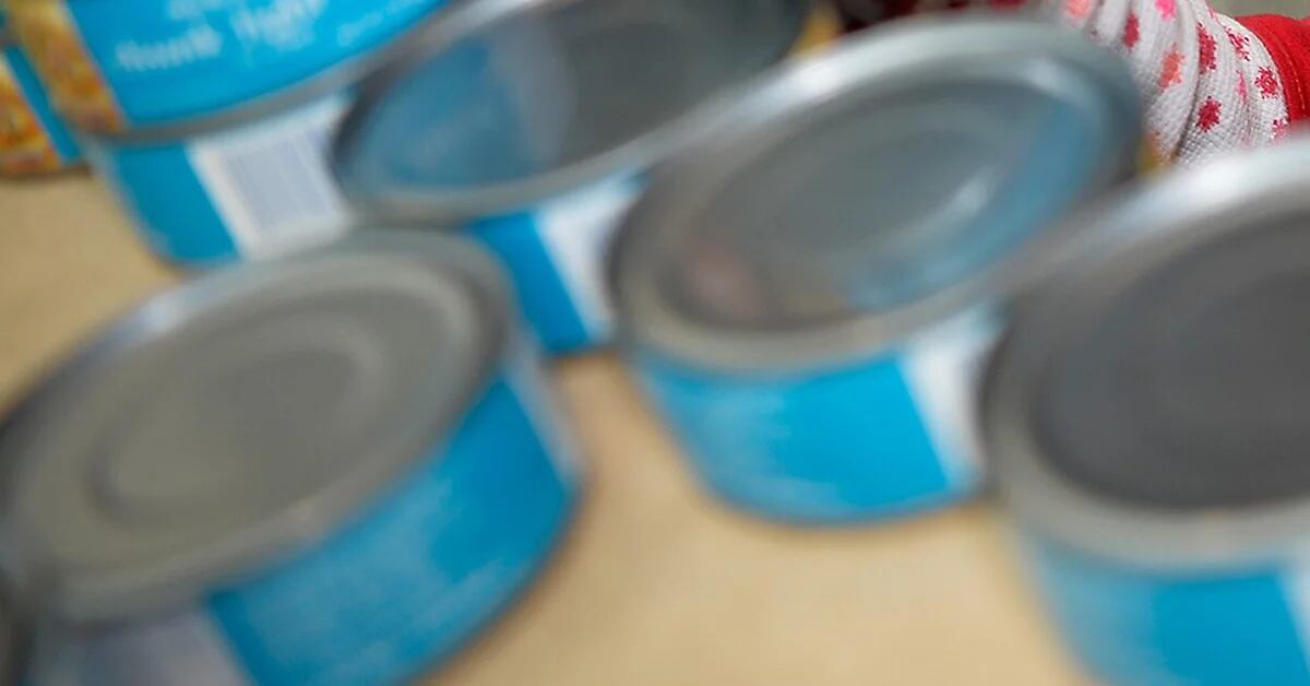 Invima warns of irregularities in two brands of tuna consumed in Colombia
