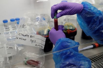 Los investigadores descubrieron los componentes en un amplio proyecto en el que analizaron las secuencias genéticas de unas 100.000 bacterias y comprobaron que cientos de ellas generaban la viperina (REUTERS)