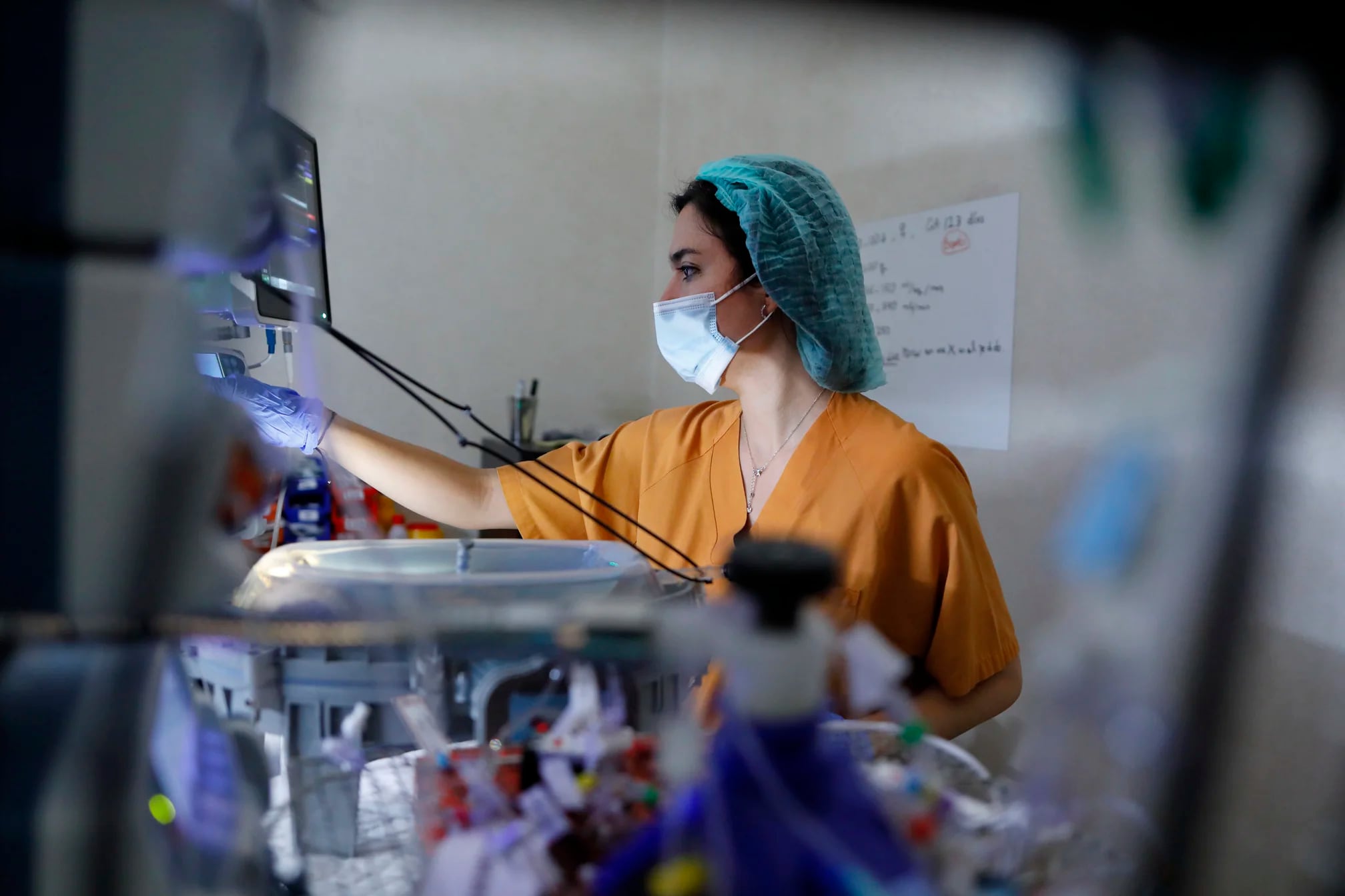 El proyecto de la placenta artificial está siendo impulsado por especialistas de medicina, biología, ingeniería, enfermería, entre otros (Marc Guillen)