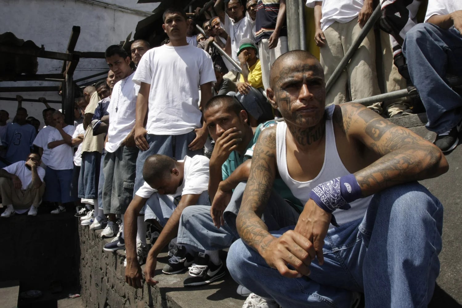 La Mara Salvatrucha es una pandilla callejera formada en Los Ángeles (California) que hoy tiene presencia en Estados Unidos, El Salvador, Honduras, Guatemala y Nicaragua. Recientemente 13 de sus líderes fueron condenados por cargos de terrorismo. (AP)