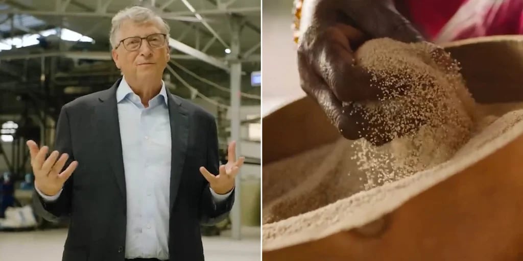Bill Gates encontró la solución para la desnutrición mundial: mira el secreto del grano africano