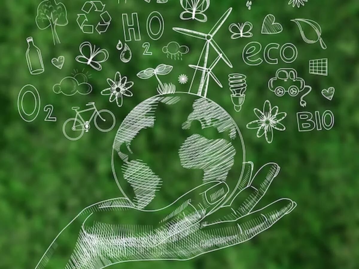estropeado aves de corral libro de bolsillo Día de la Tierra 2023: cómo liderar un futuro sostenible desde el sector  empresarial - Infobae
