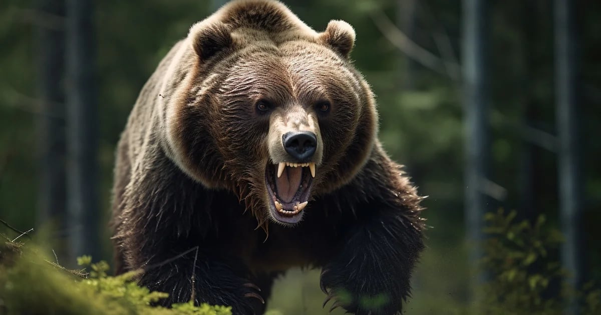 Surprise grizzly attack in Wyoming leaves one seriously injured