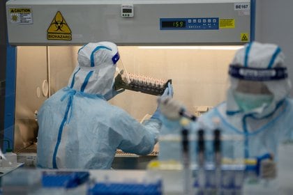 Según los datos develados por el informe, el riesgo de pandemias puede disminuir significativamente si se reducen las actividades humanas que impulsan la pérdida de biodiversidad (Roy Liu/Bloomberg)