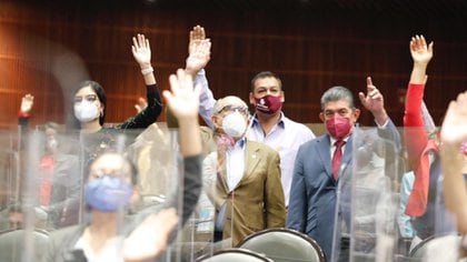 Los auxiliares reelegidos deben renunciar a principios de abril de 2021 (Foto: Cortesía de la Cámara de Diputados)