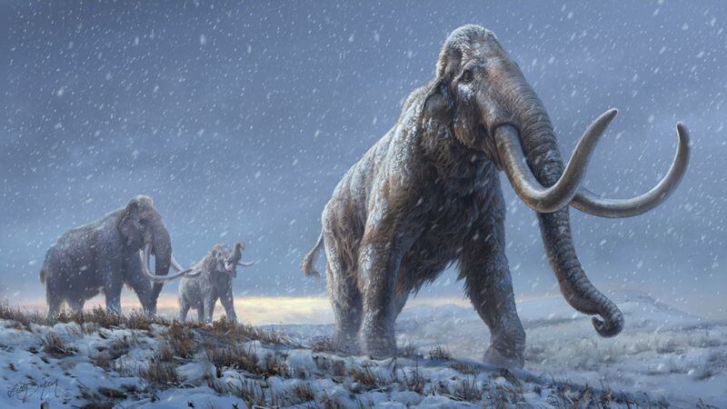Los antiguos humanos debieron cazar animales más grandes para poder sobrevivir (REUTERS)