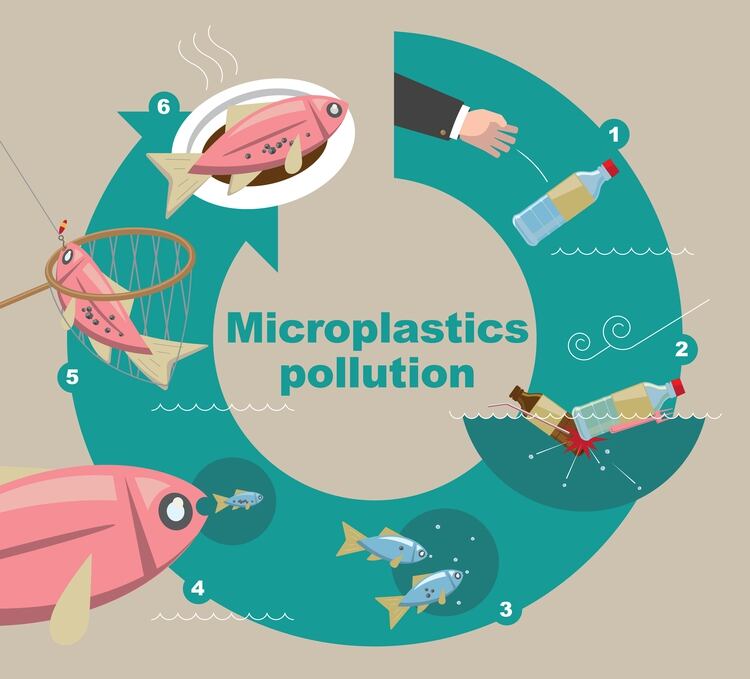 Evolución de la polución que producen los microplásticos (Shutterstock)