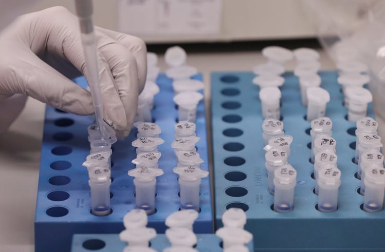Un laboratorio de la Universidad de Carolina del Norte, busca crear una copia del virus desde su ADN - REUTERS/Yves Herman