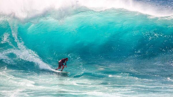 surf-hawaii.jpeg