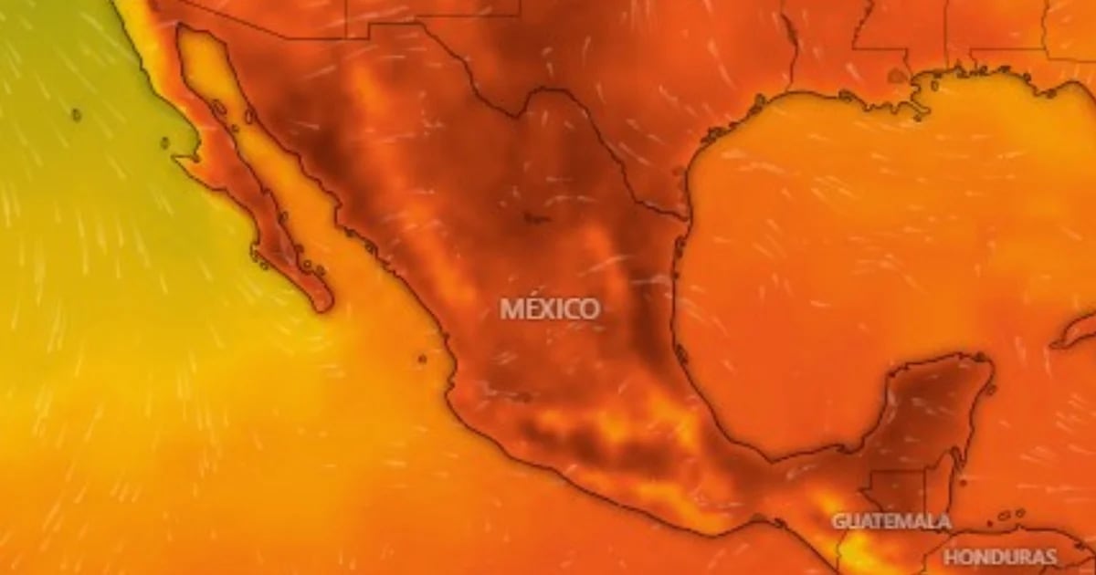 La troisième vague de chaleur commence au Mexique : ces 25 États atteindront 45 degrés aujourd’hui 20 mai