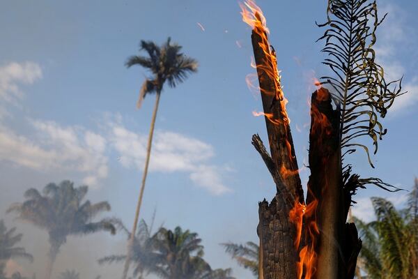 Resultado de imagen para Organizan manifestaciones ante embajadas de Brasil de todo el mundo por el fuego del Amazonas