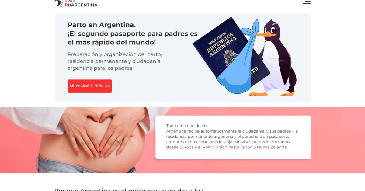 Instead of a stork with a baby, a penguin with a passport: the striking Russian marketing that promotes Argentina as “the best country to give birth” – Flash News