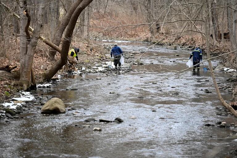 Una compañïa medioambiental está removiendo peces muertos del agua en Palestine, Ohio REUTERS/Alan Freed REFILE- CORRECT 