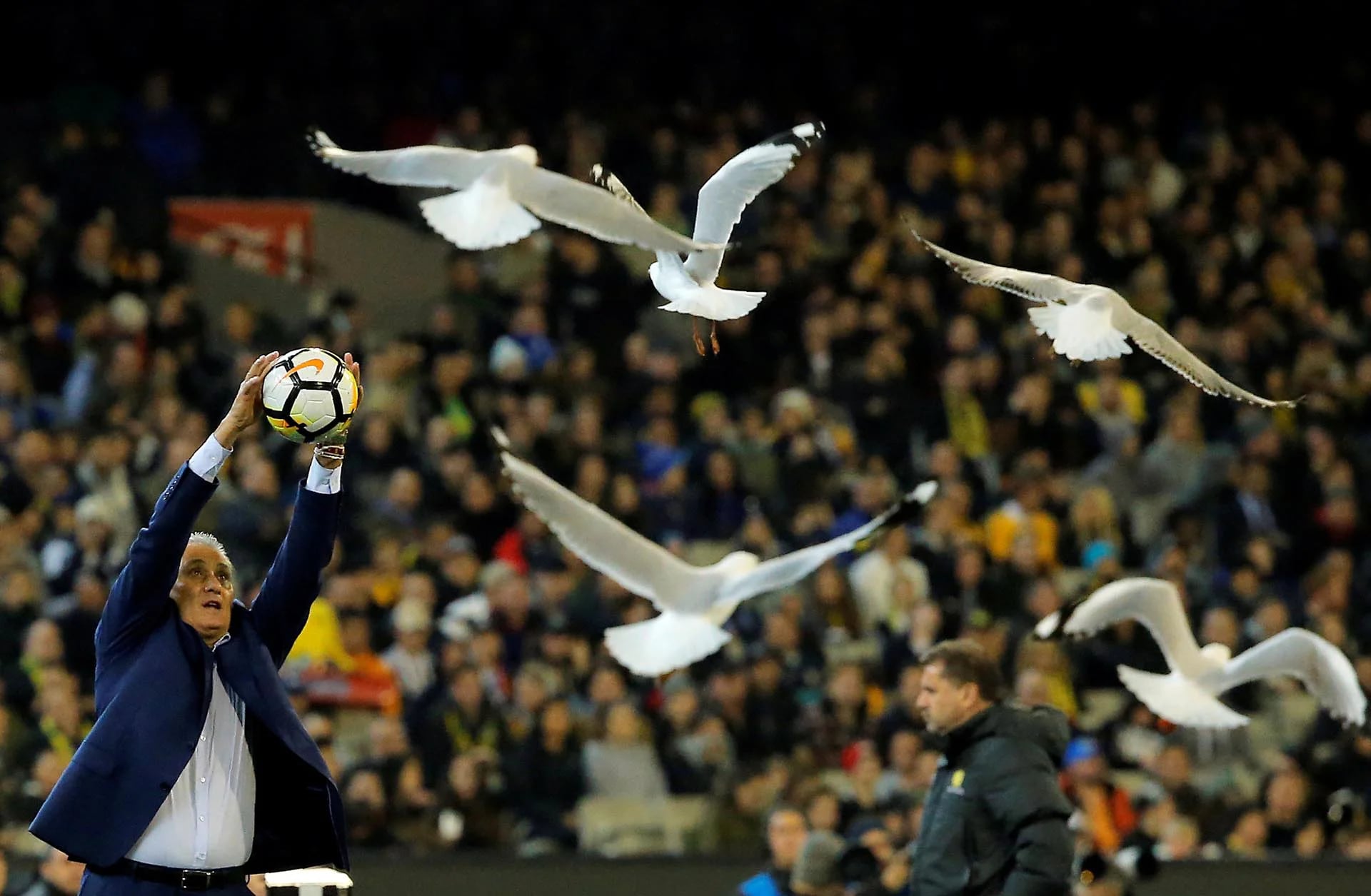 El entrenador brasileño Tite atrapa una pelota mientras las gaviotas vuelan por el estadio en Melbourne, Australia